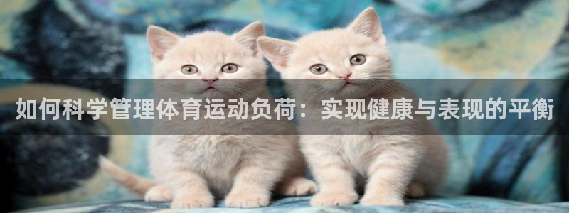 如何科学管理体育运动负荷：实现健康与表现的平衡