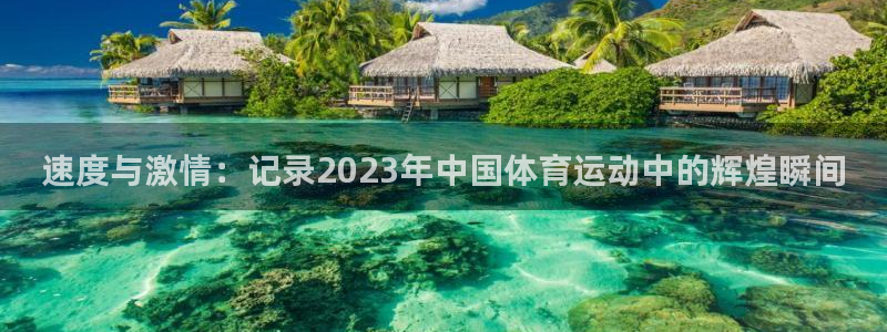 速度与激情：记录2023年中国体育运动中的辉煌瞬间