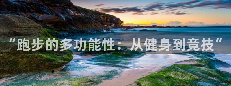 “跑步的多功能性：从健身到竞技”