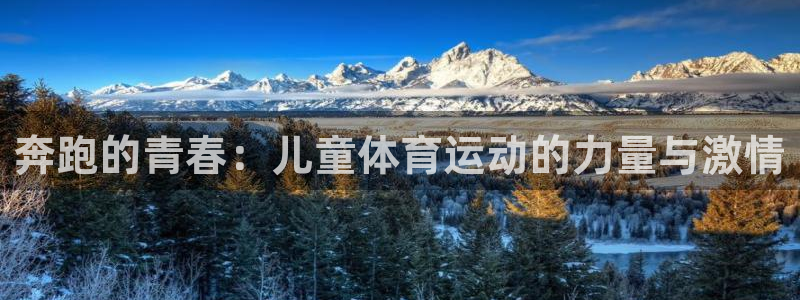 奔跑的青春：儿童体育运动的力量与激情