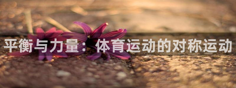 平衡与力量：体育运动的对称运动