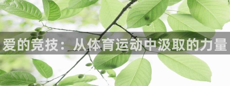 爱的竞技：从体育运动中汲取的力量