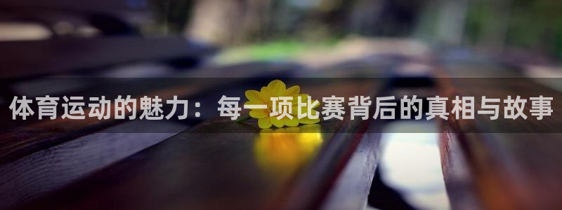 体育运动的魅力：每一项比赛背后的真相与故事