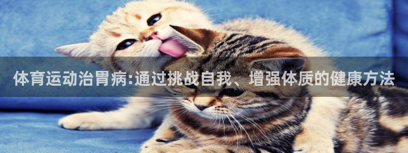 体育运动治胃病:通过挑战自我、增强体质的健康方法