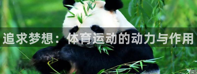 追求梦想：体育运动的动力与作用